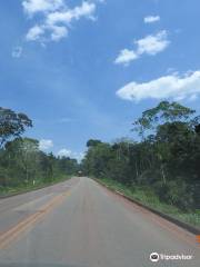 Floresta Nacional De Carajas