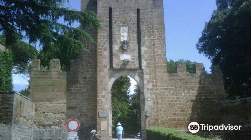 Well of St. Patrick