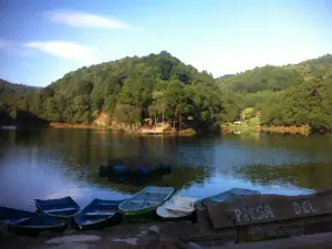 Presa del  Llano