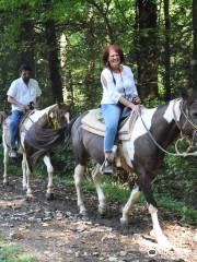 Sugarlands Riding Stables