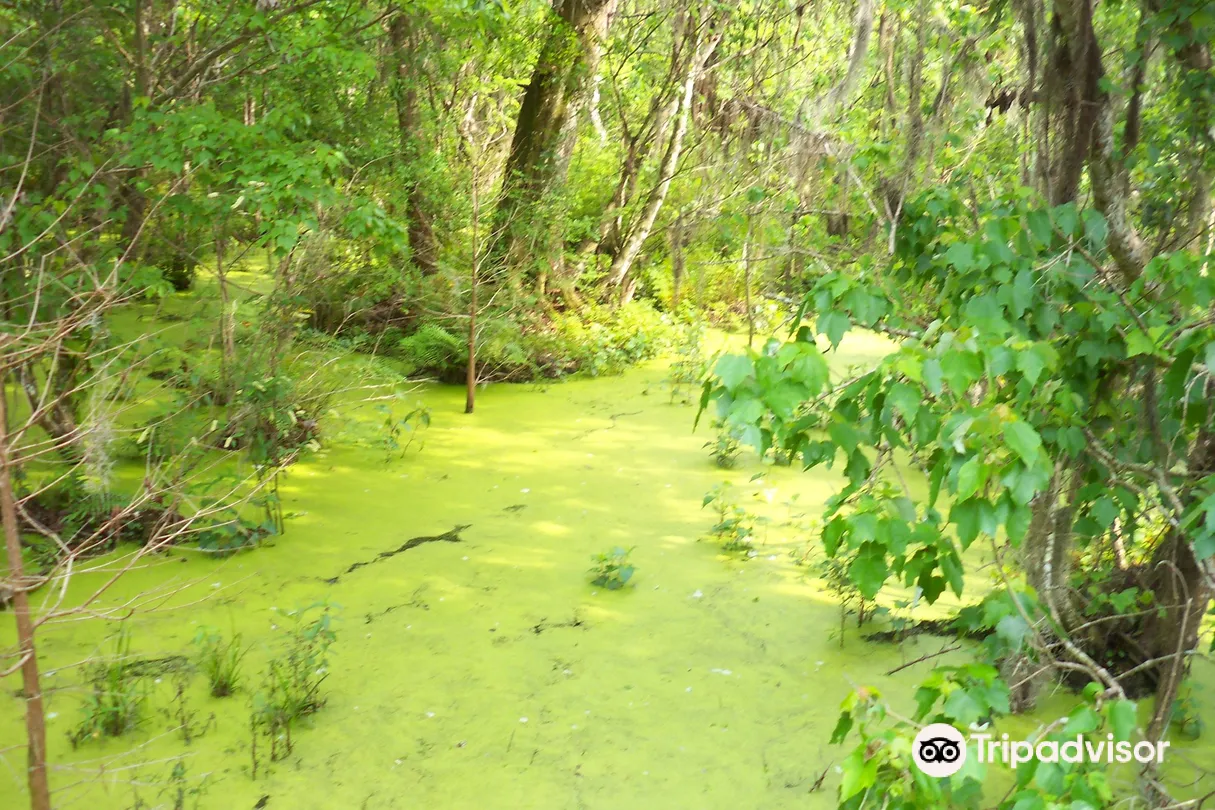 5_Sawgrass Lake Park