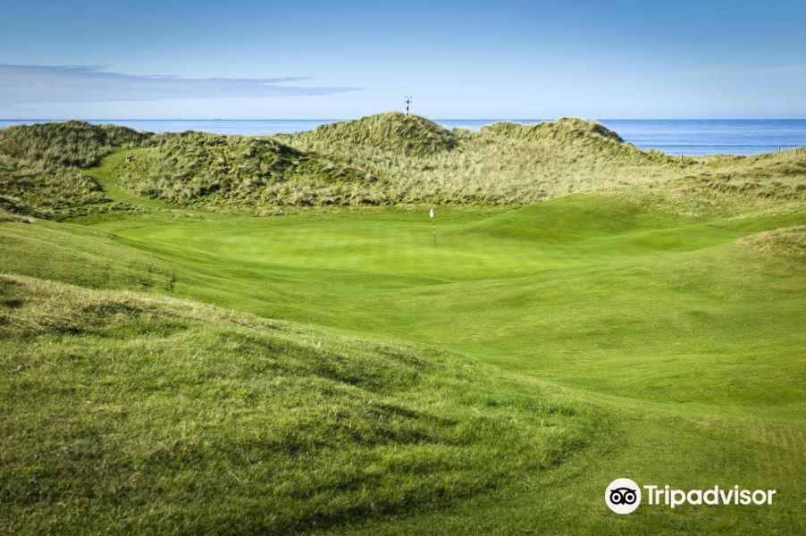 Vé máy bay Colombo Campbeltown