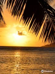 Anse La Reunion Beach