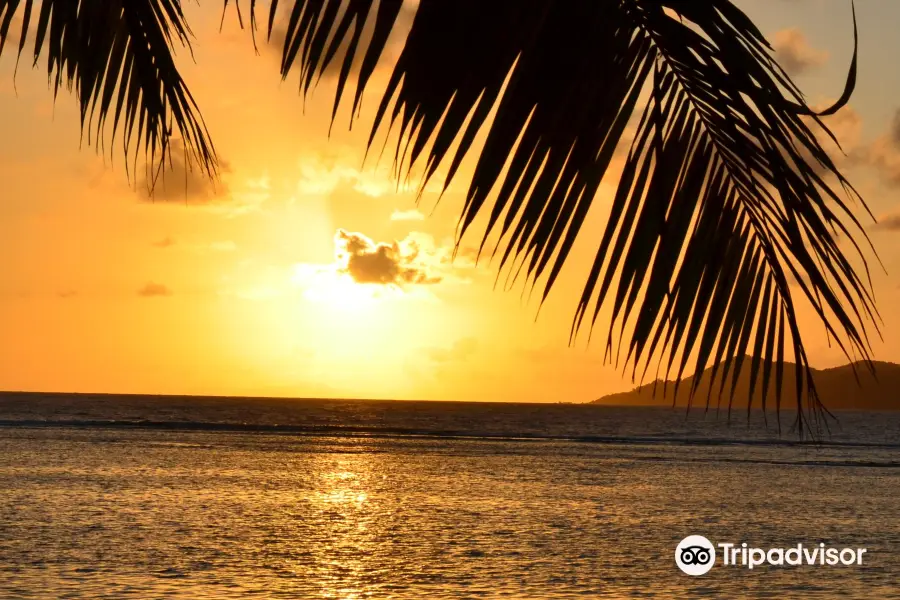 Anse La Reunion Beach