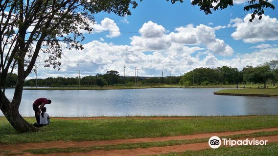 Parque da Cidade Sarah Kubitschek