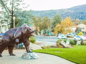 Visit Yosemite Madera County Main Visitors Center