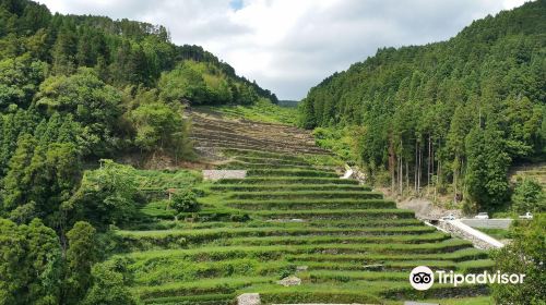 Ishizumi Rice Terraces