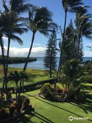 Molokai Lomi Therapeutic Massage and Healing Center