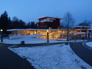 Buchheim Museum of Imagination
