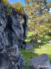 Waro Limestone Scenic Reserve Walk