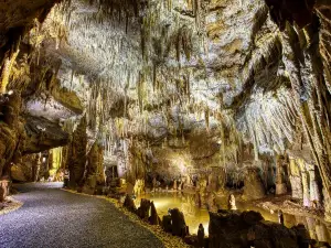 La Grotte De Domme