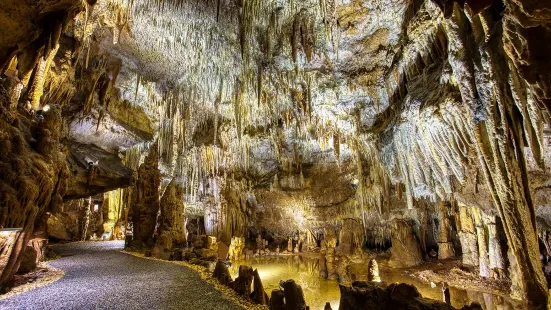 La Grotte De Domme