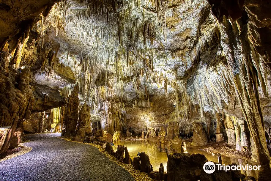 La Grotte De Domme