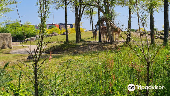 Wildlands Adventure Zoo Emmen