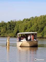 Spectacular Jumping Crocodile Cruise