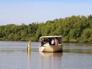 Spectacular Jumping Crocodile Cruise