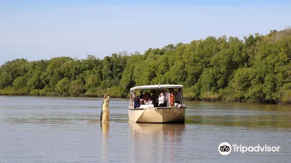Spectacular Jumping Crocodile Cruise