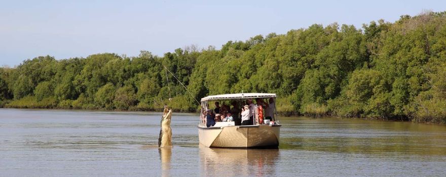 Spectacular Jumping Crocodile Cruise