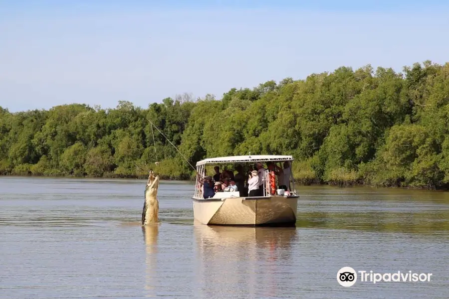 Spectacular Jumping Crocodile Cruise