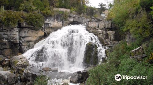 Inglis Falls