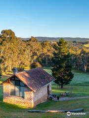 Heysen The Cedars