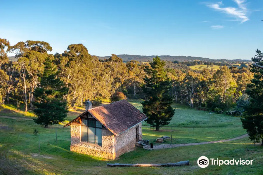 Heysen The Cedars