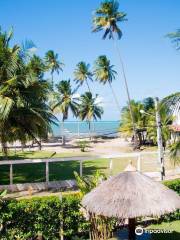 Praia Ponta de Mangue