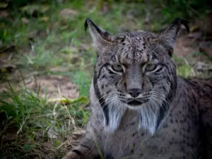 Zoobotanico Jerez