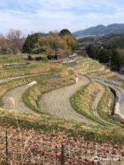 Shimo Akasaka Rice Terraces