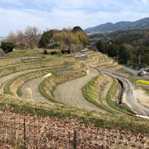 下赤阪の棚田
