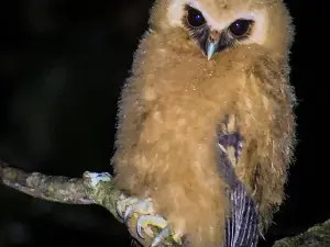 Monteverde Wildlife Refuge