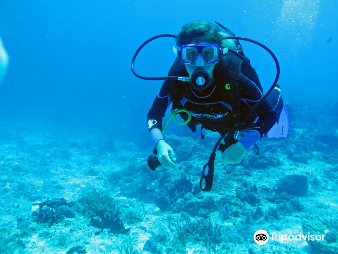 3_Cancun Scuba Center