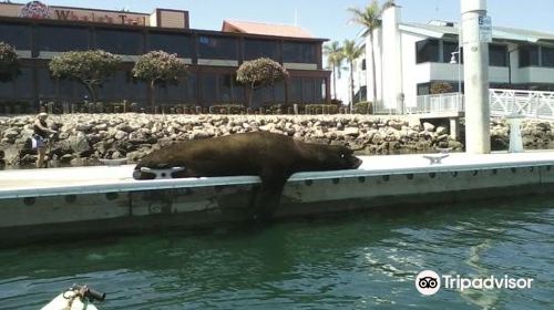 Marine Emporium Landing