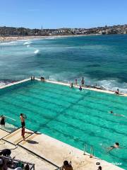 Bondi Icebergs Swimming CLUB