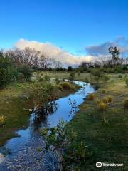 Hanson Bay Wildlife Sanctuary