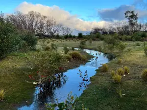 Hanson Bay Wildlife Sanctuary