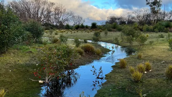 Hanson Bay Wildlife Sanctuary