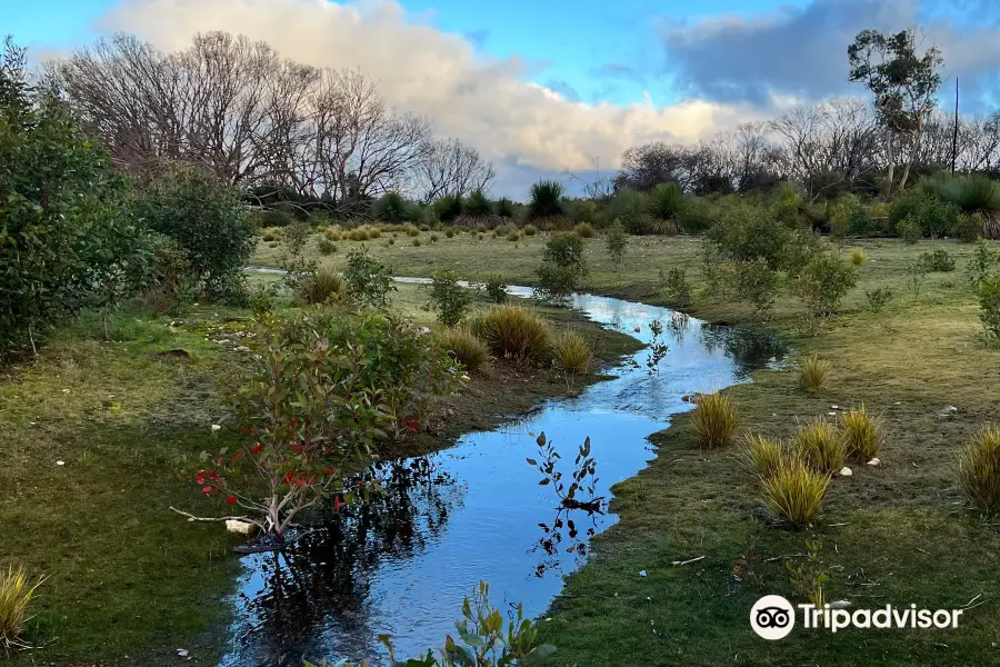 Hanson Bay Wildlife Sanctuary