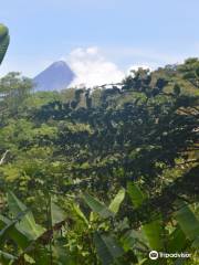 Mt. Malinao