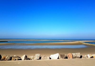 Berck Sur Mer