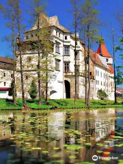 Castle Blatná