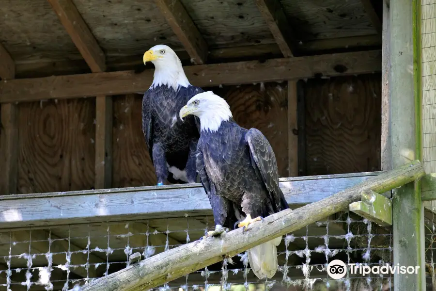 Two Rivers Wildlife Park