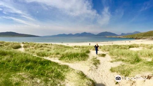 Luskentyre Beach