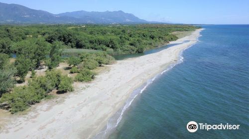 Plage de Bravone