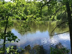 Quarry Road Trails