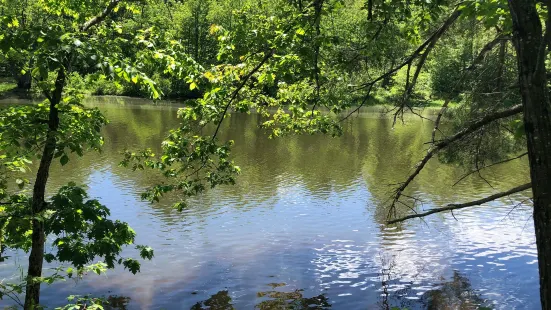 Quarry Road Trails