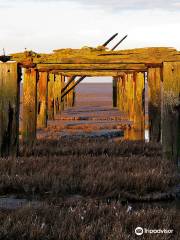 RSPB Snettisham