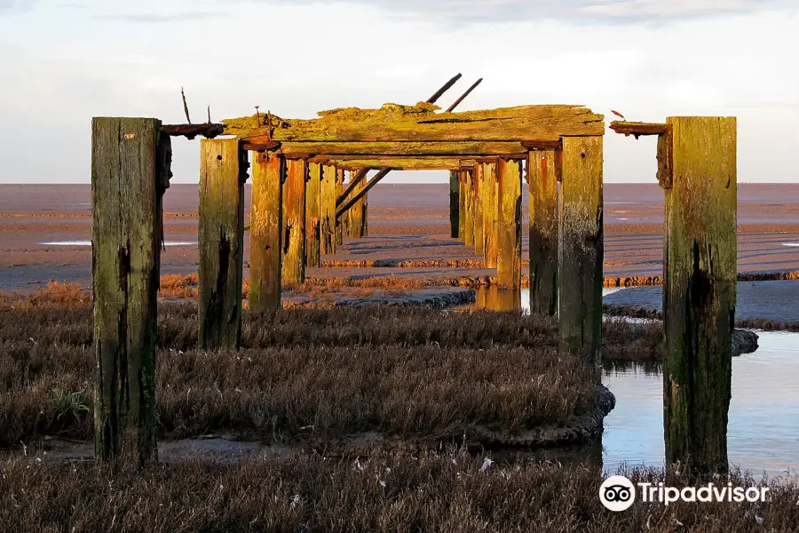 RSPB Snettisham