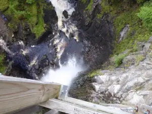 Plodda Falls