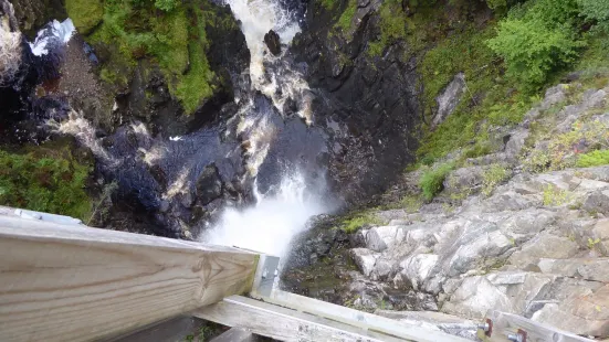 Plodda Falls